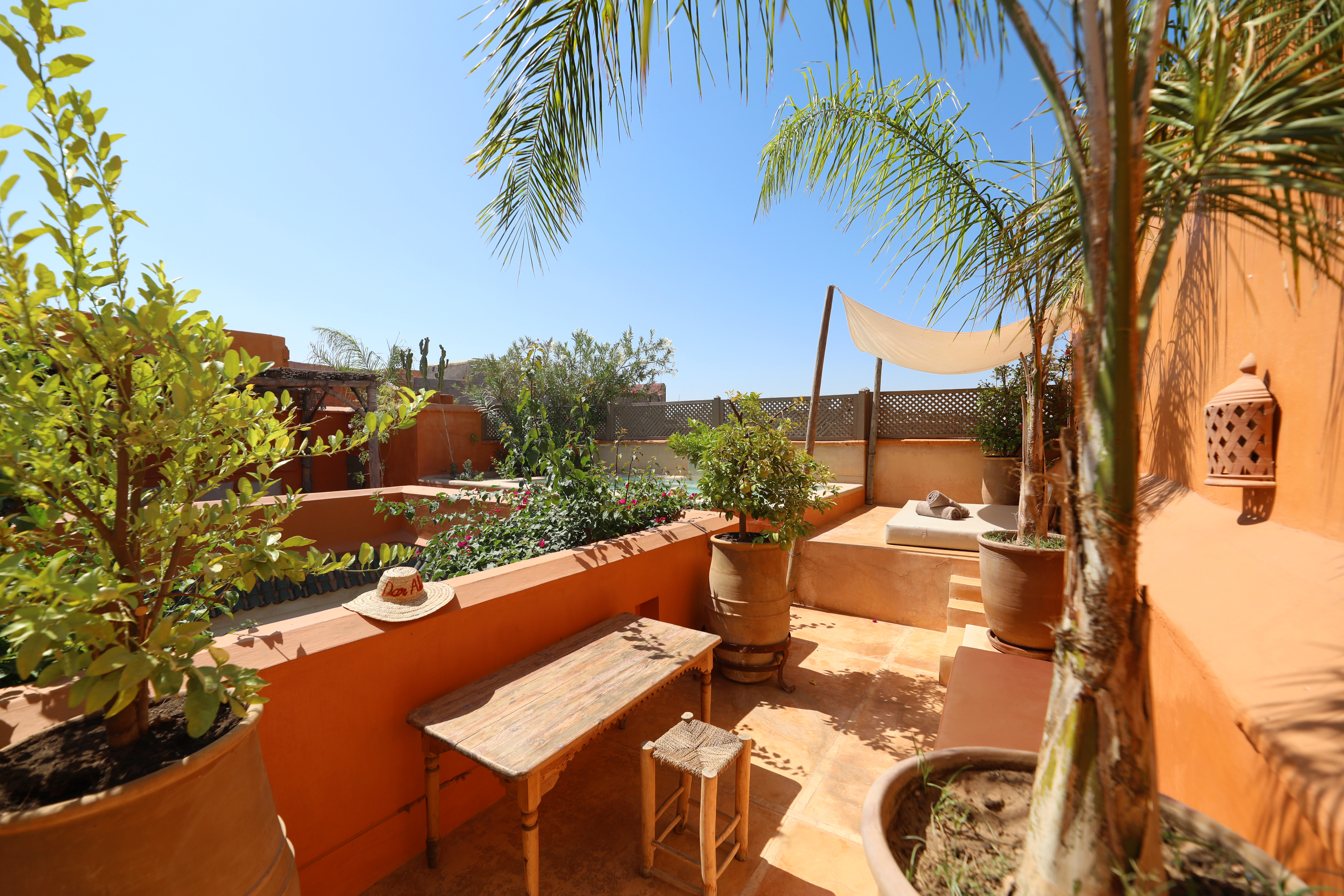 The planted Dar Akal rooftop terrace under the clear Marrakech sky