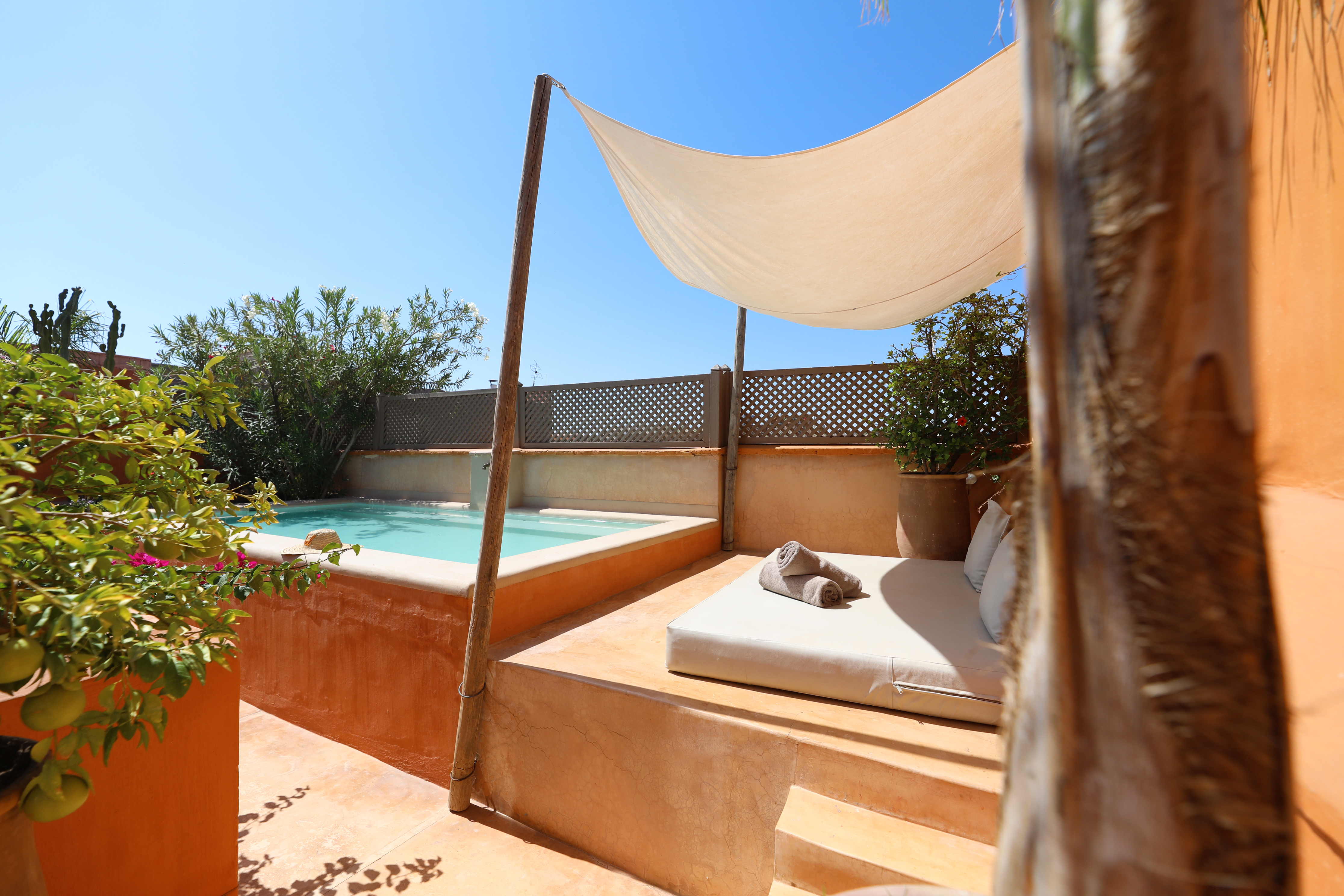 Dar Akal's rooftop pool, shaded daybed and planted terrace under a blue sky