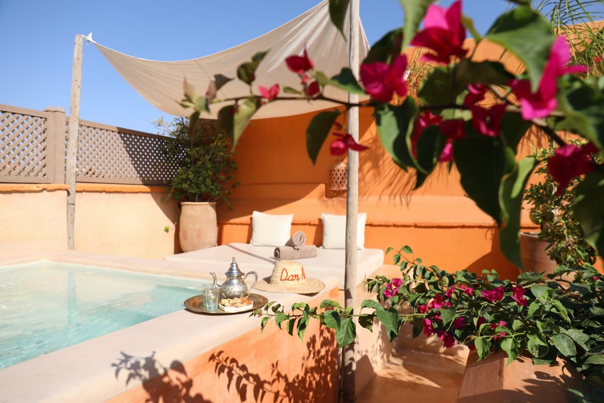 Dar Akal's rooftop pool framed by bougainvillea in full daylight