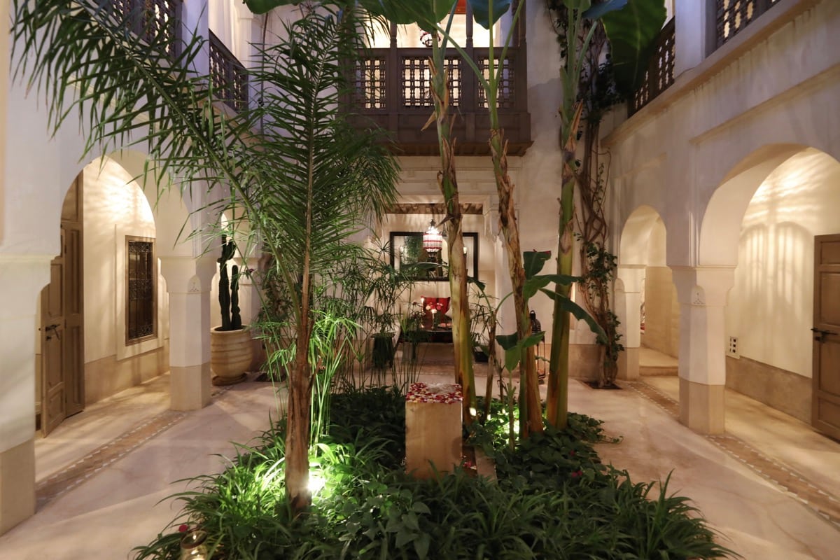 The courtyard planted with palms and lit for the evening