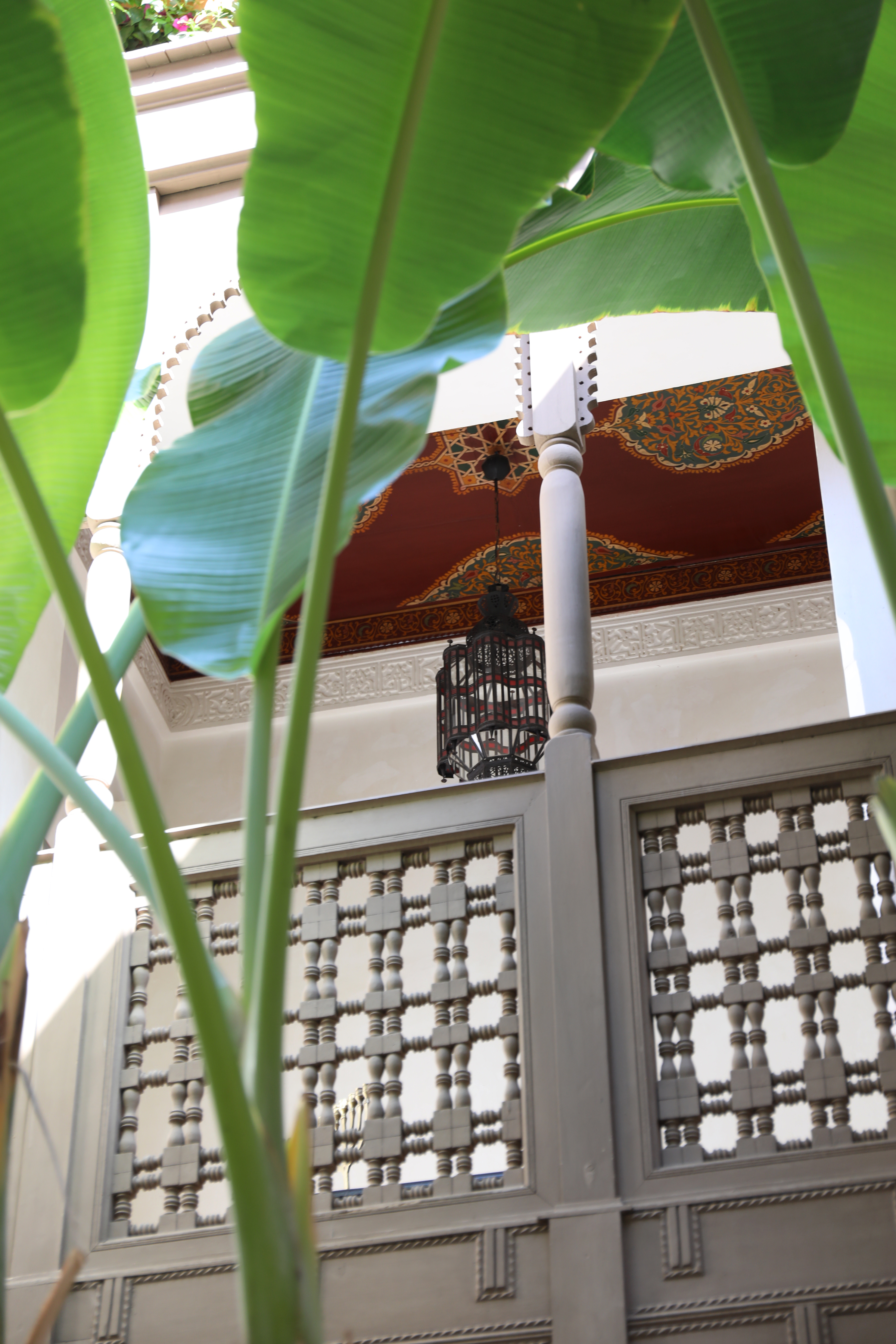 Painted gallery ceilings glimpsed through the banana leaves in Dar Akal's courtyard